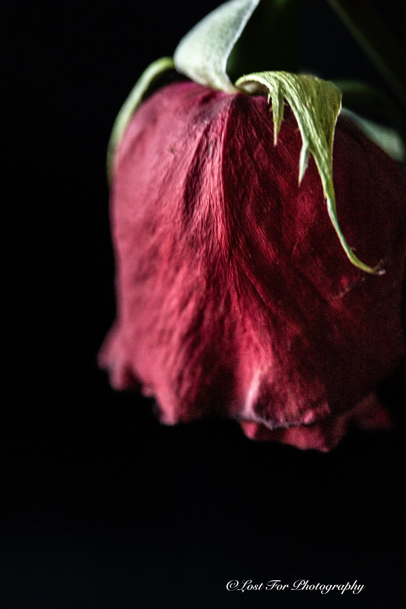 Fading Into The Dark
