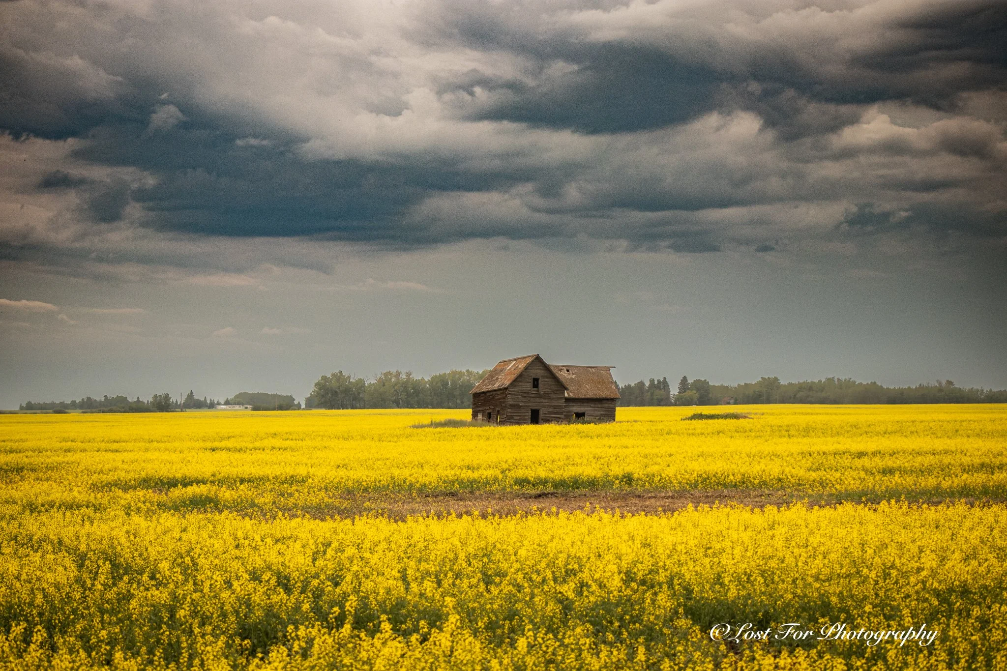 An Old Time New Storm