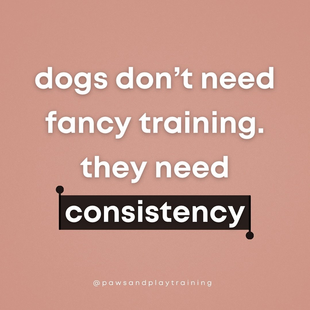 Training isn&rsquo;t something extra you have to add into your day, it IS your day! It&rsquo;s the little moments and little things we do with our dog that translate to big behaviors changes.

📣📣📣 If you need help kickstarting your training journe