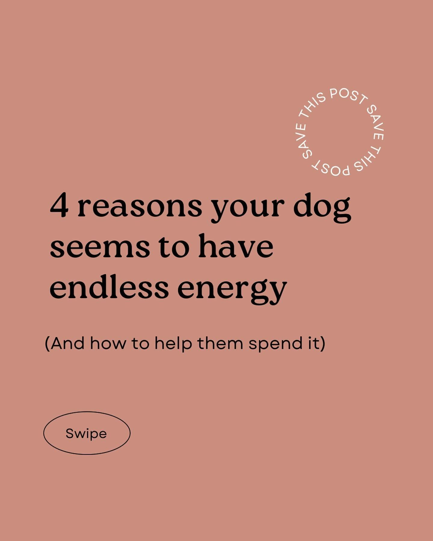 Are you ready to help expend your dog&rsquo;s energy? 🐾 Make sure to like, save and share this post if it helped!

@pawsandplaytraining