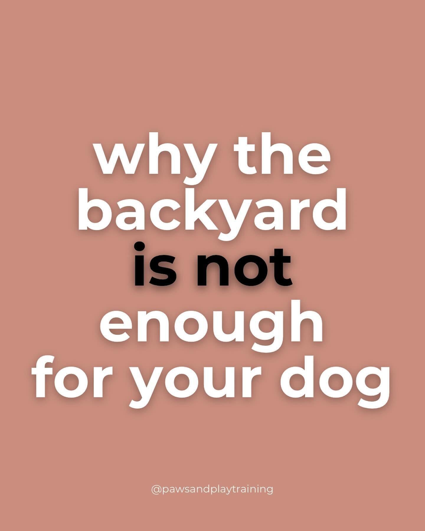 Do you agree?

🐾 🐾 🐾 🐾 🐾 🐾 🐾 🐾 🐾 🐾 🐾 🐾 🐾 🐾 🐾 
📞 732-598-3903
📧 beth@pawsandplaytraining.com
💻 pawsandplaytraining.com