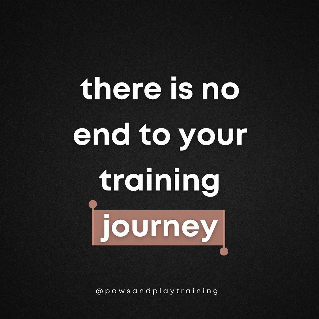 Training doesn&rsquo;t have a &ldquo;destination.&rdquo; Just because your dog knows how to sit or heel doesn&rsquo;t mean they will continue to do it if you don&rsquo;t practice and hold them accountable.

✨ Instead of focusing on getting your dog t
