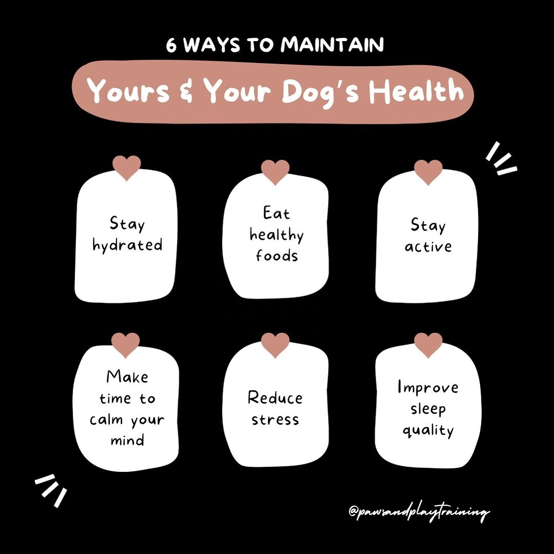 We often take care of our dogs, but forget so much of what we do for them, applies to us too.

🐾 We focus on making sure our dogs always have their breakfast and dinner and plenty of water, don&rsquo;t forget to do the same for you. (Coffee isn&rsqu
