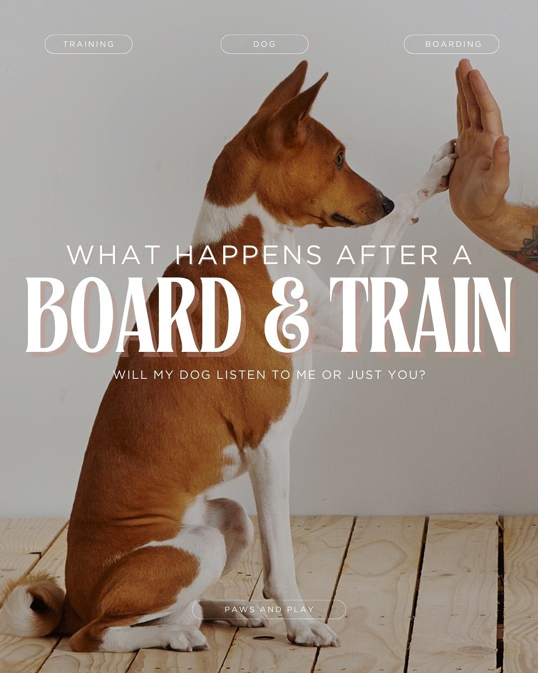 Will my dog listen to ME after training, not just you (the trainer)? YES! During a boarding training session, I work one-on-one with your dog to make sure he or she understands all of the commands and boundaries that we want to establish.

The work i