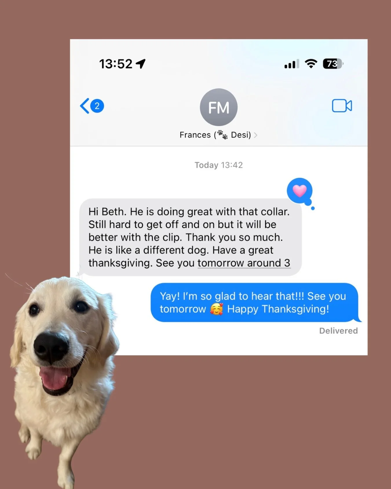 Meet Desi! 💛🐾
He came to private lessons because his family was struggling with intense leash pulling and he constantly had to be tethered in the house due to boundary issues.

After Session 1, we focused on foundation work and structure. By Sessio