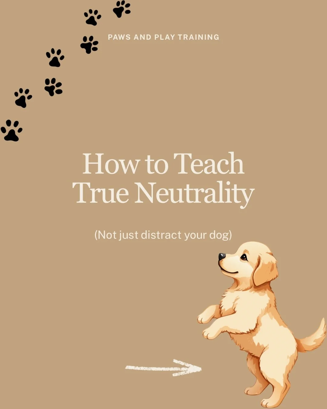 I get so many calls about dogs reacting to people walking in, dogs walking by, or distractions outside. Here are some helpful tips!