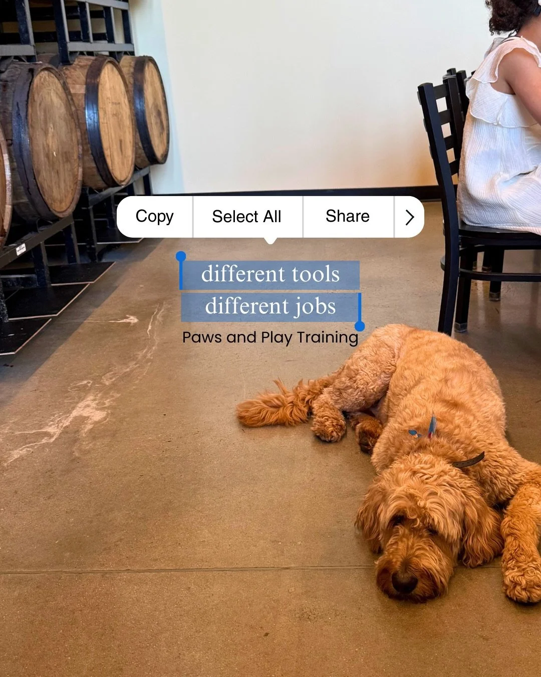 Different tools serve different purposes &mdash; and good training isn&rsquo;t about using one thing for everything.

Each tool communicates information in a slightly different way. The goal is always the same: clarity, fairness, and timing.

The rig