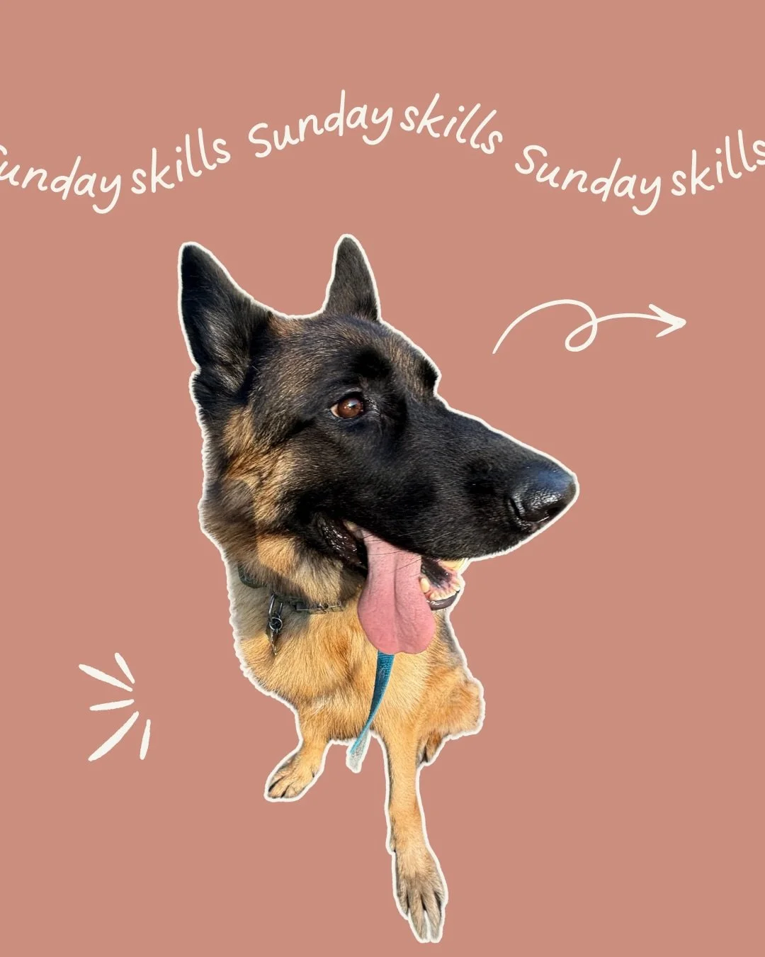 Skill Sunday 🐾

Threshold manners aren&rsquo;t about killing excitement &mdash;
they&rsquo;re about adding structure to it.

Doors, cars, crates, gates&hellip;
the skill stays the same.

Save this and practice it everywhere 👣🐶