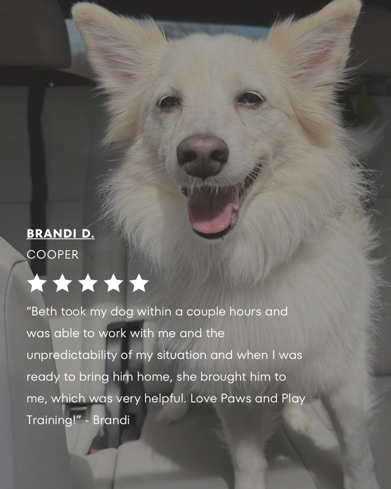 We love Cooper 🤍🤍

&ldquo;I have used Beth 3x in the last year to board my dog, and every time, he has come home clean and happy. Most recently, I had an emergency at my house and needed lots of flexibility. Beth took my dog within a couple hours a