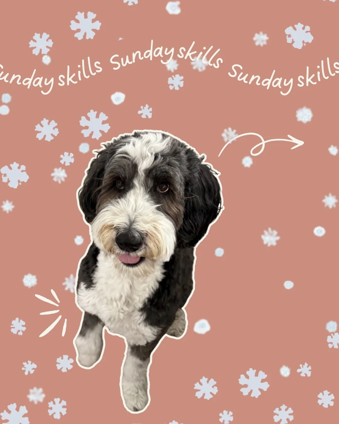 Dogs don&rsquo;t just need exercise &mdash;
they need quality rest, and they need to learn how to get there themselves.

Snow days are the perfect time to practice this:
✔ Meet the need first (movement + brain work)
✔ Then allow calm to happen
✔ Resi