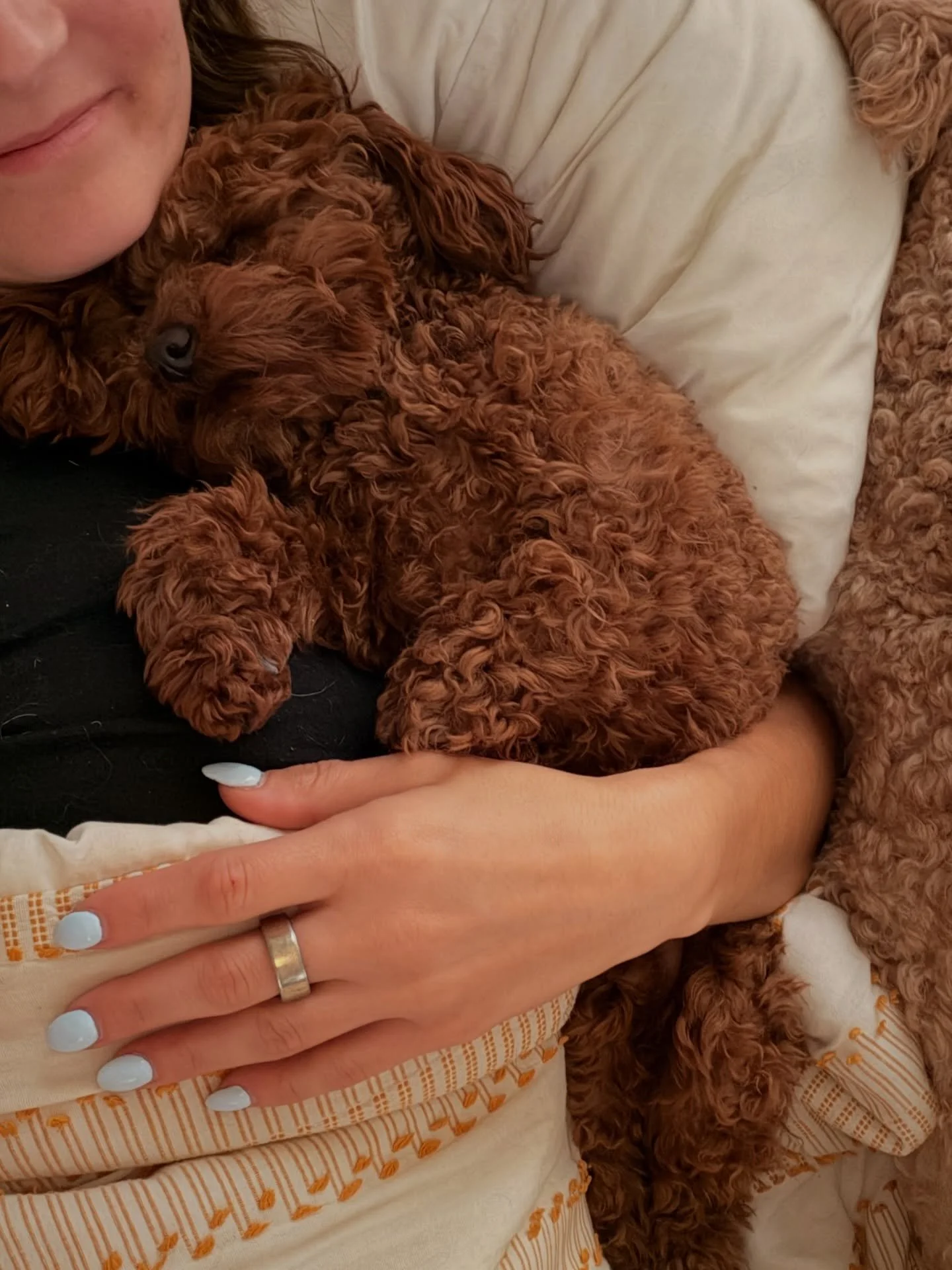 Dogs don&rsquo;t need constant entertainment. And honestly&hellip; most of them don&rsquo;t even want it.

What they need is:
&bull; structure
&bull; clarity
&bull; and the ability to truly relax

One of the biggest differences we see with dogs that 