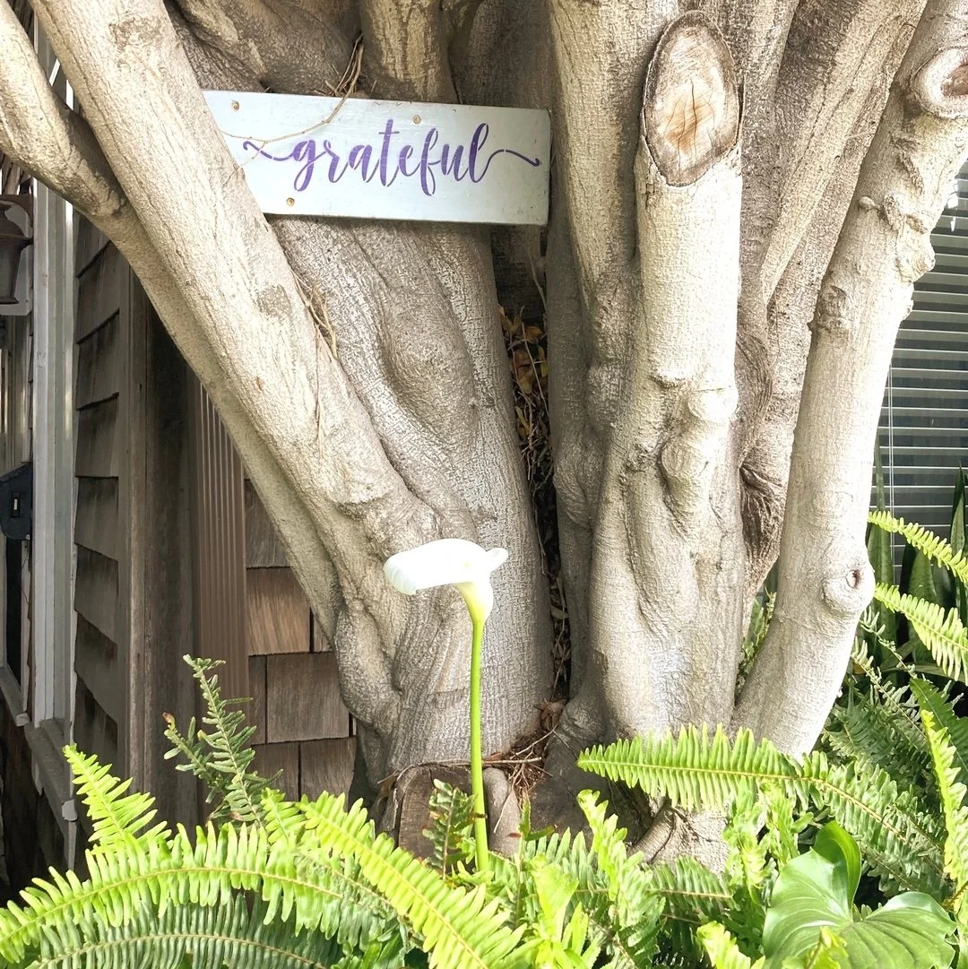 Happy June everyone! I hope you&rsquo;re already feeling the magic of Gemini season!

It&rsquo;s true, we can&rsquo;t get enough of the delicious energy&hellip;whether that&rsquo;s experiencing all the magic, excitement, joy, fun, and beauty or the d