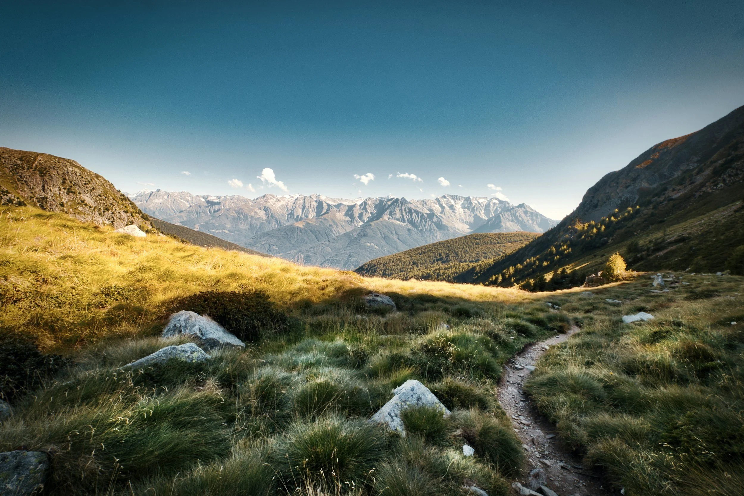 Core 04: Intentional Living Is About Responsibility, Not Control