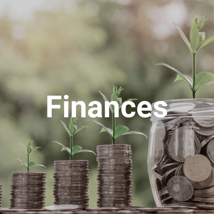 Pillar 05: Finances