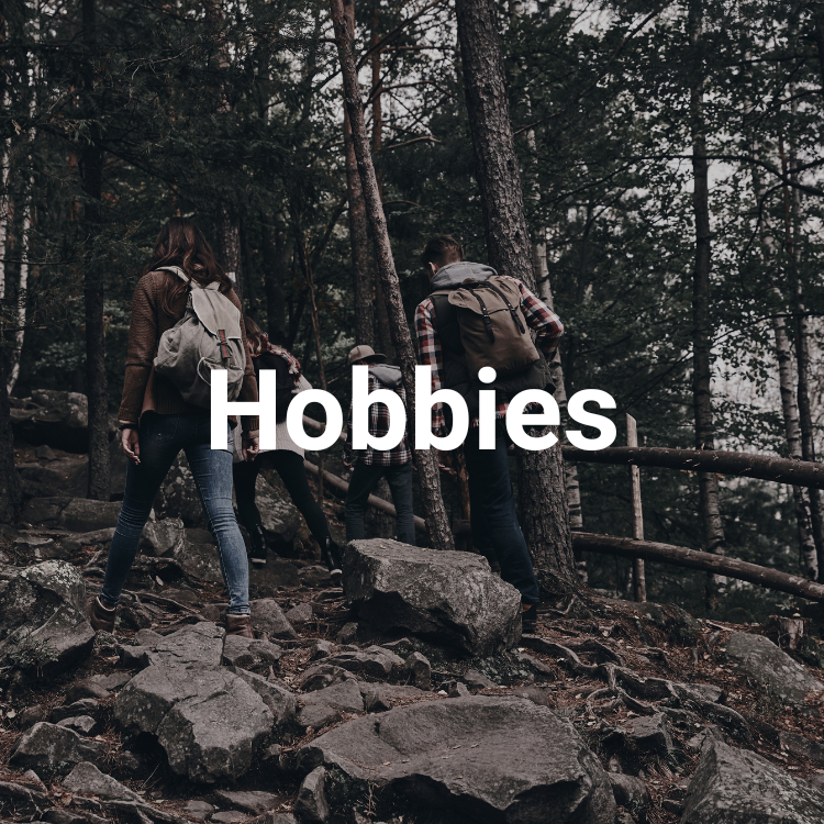 Pillar 07: Hobbies (and Rest)