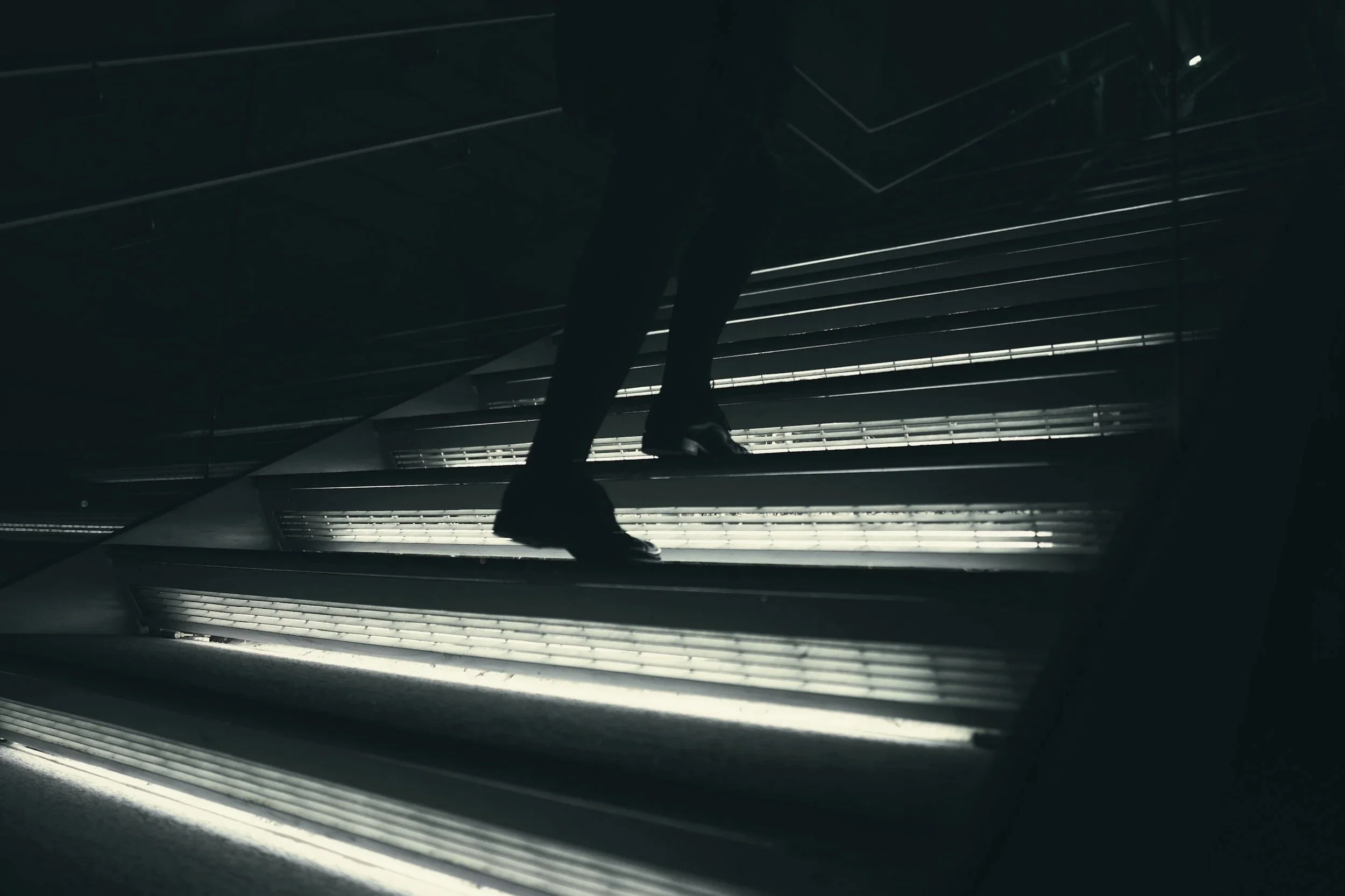 You Were Born For a Purpose. Now What?