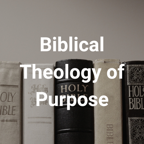 From Genesis to Revelation, the Bible reveals that we were created with intention. But what does that actually mean for how we live today?