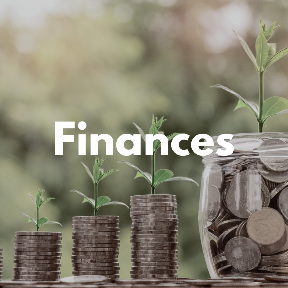 BFAP Website Pics - 3.png