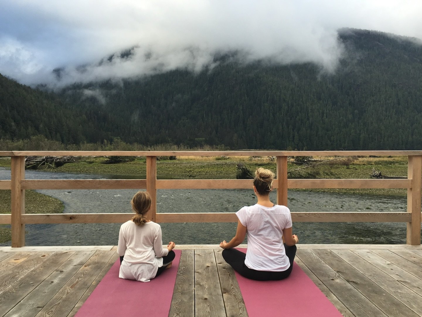 It&rsquo;s interesting to look back in time and see how everything quietly connects. In 2016 my business was called Flight of the Heart. I was seeing individual clients, facilitating our WomenHeart support group, advocating through the American Heart