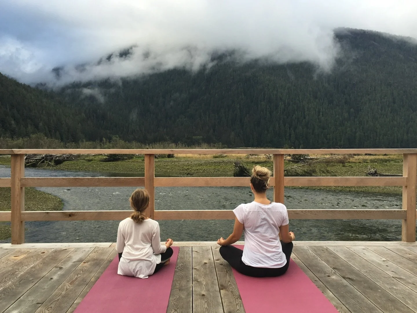 It&rsquo;s interesting to look back in time and see how everything quietly connects. In 2016 my business was called Flight of the Heart. I was seeing individual clients, facilitating our WomenHeart support group, advocating through the American Heart