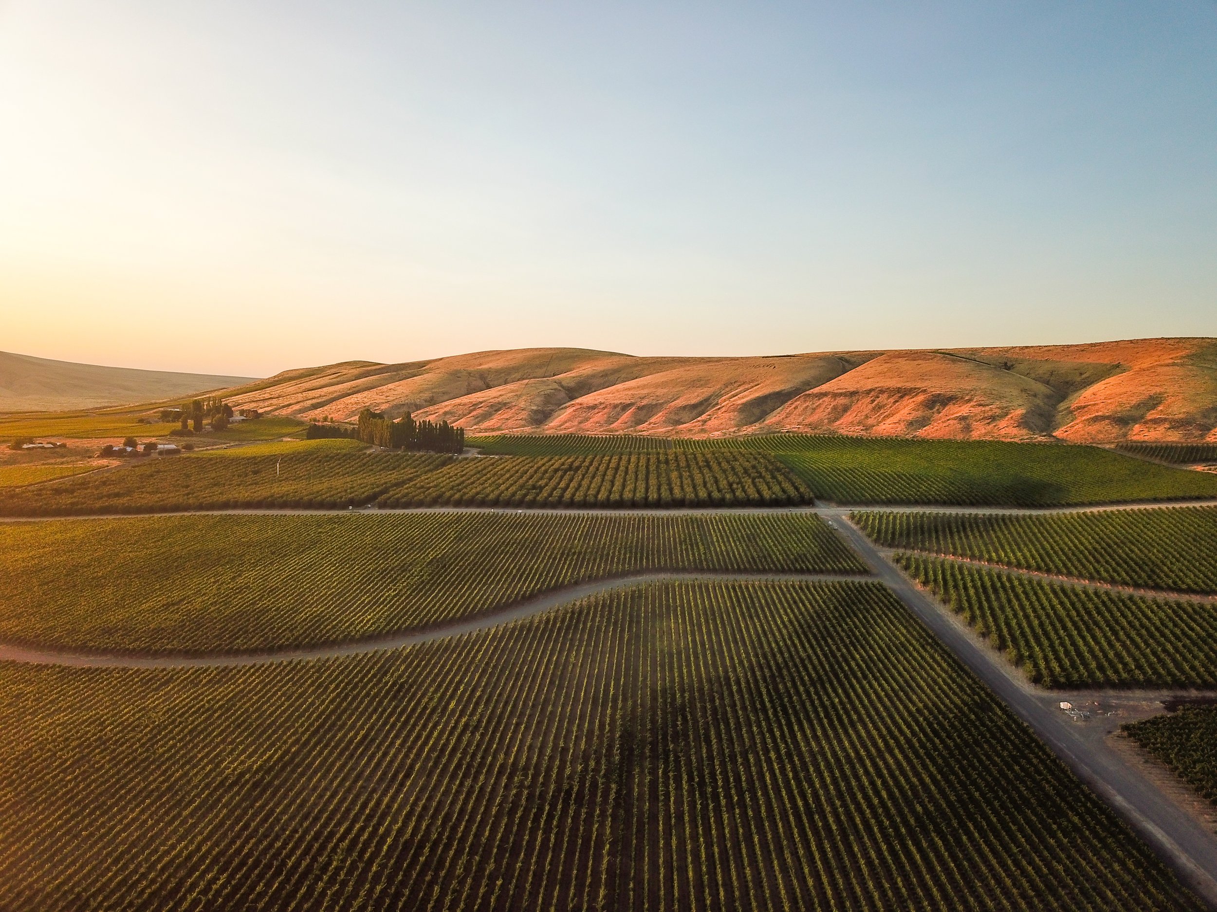 DJI_0111-3.jpg