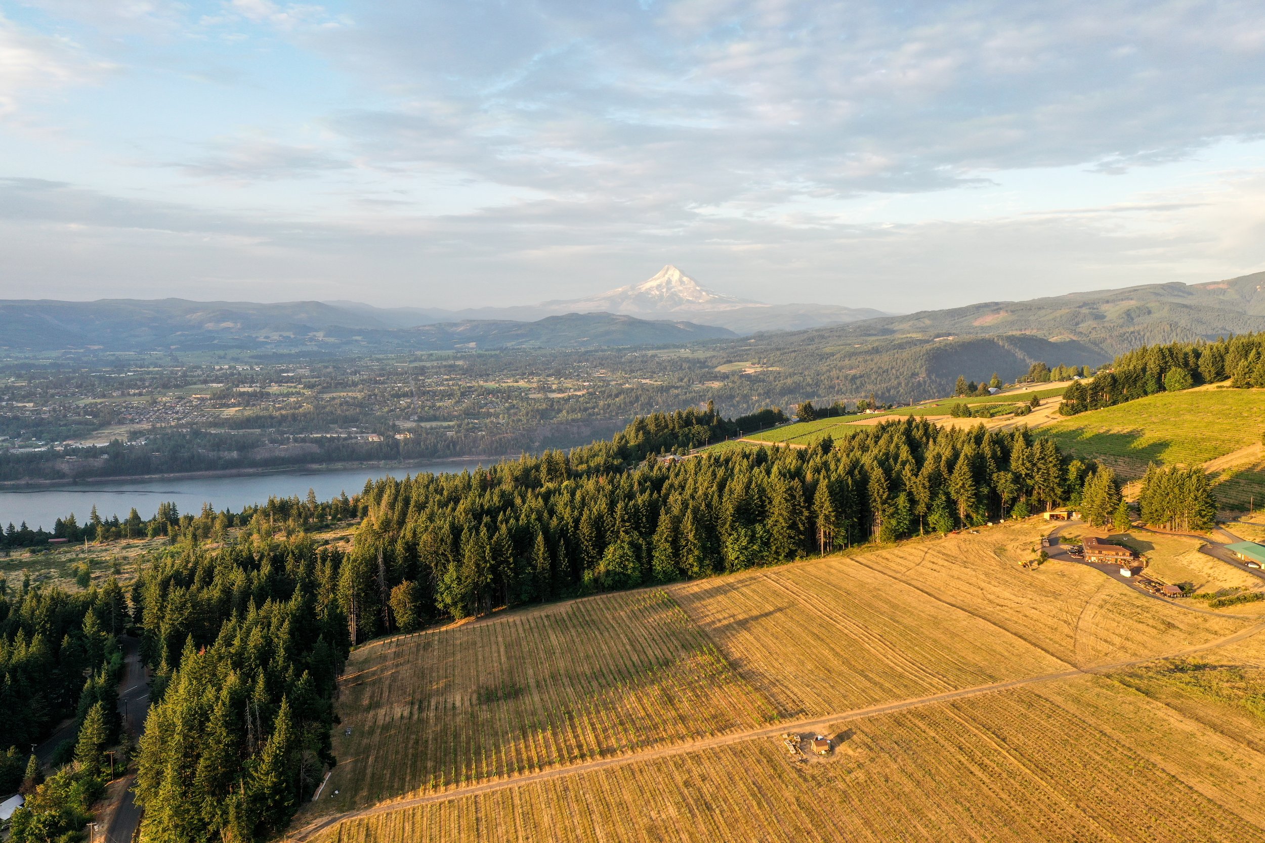 DJI_0034.jpg
