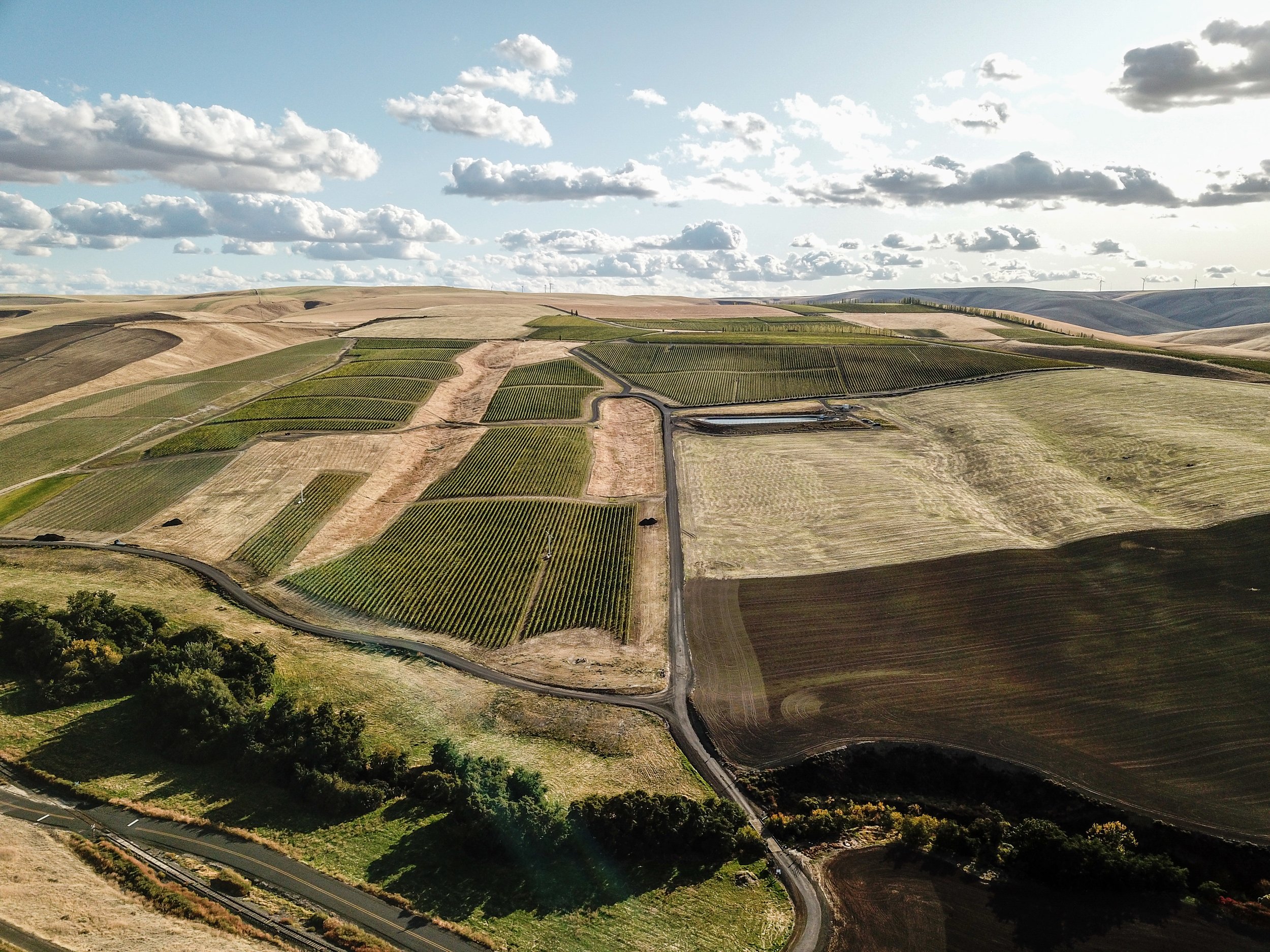 DJI_0081.jpg
