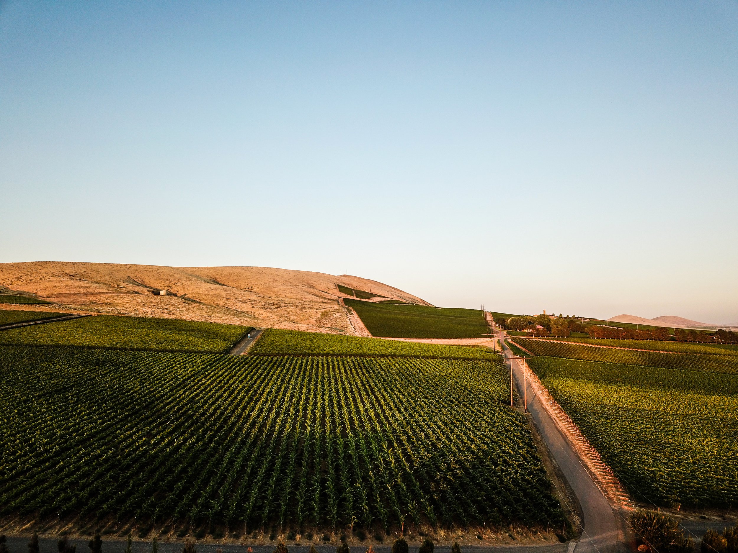 DJI_0138-2.jpg