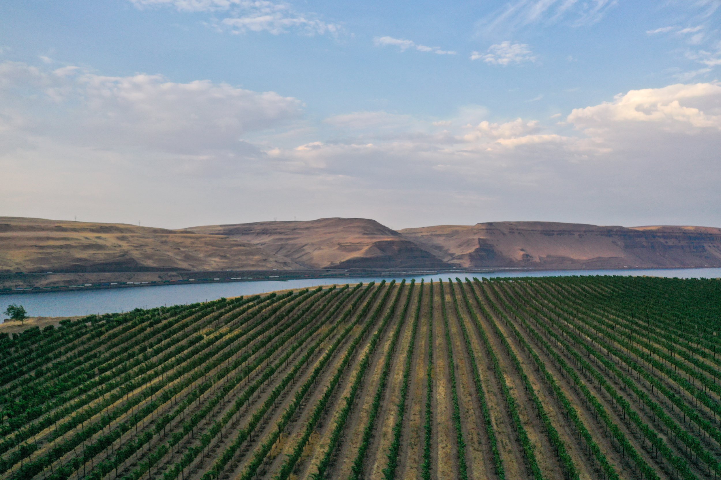 DJI_0140.jpg