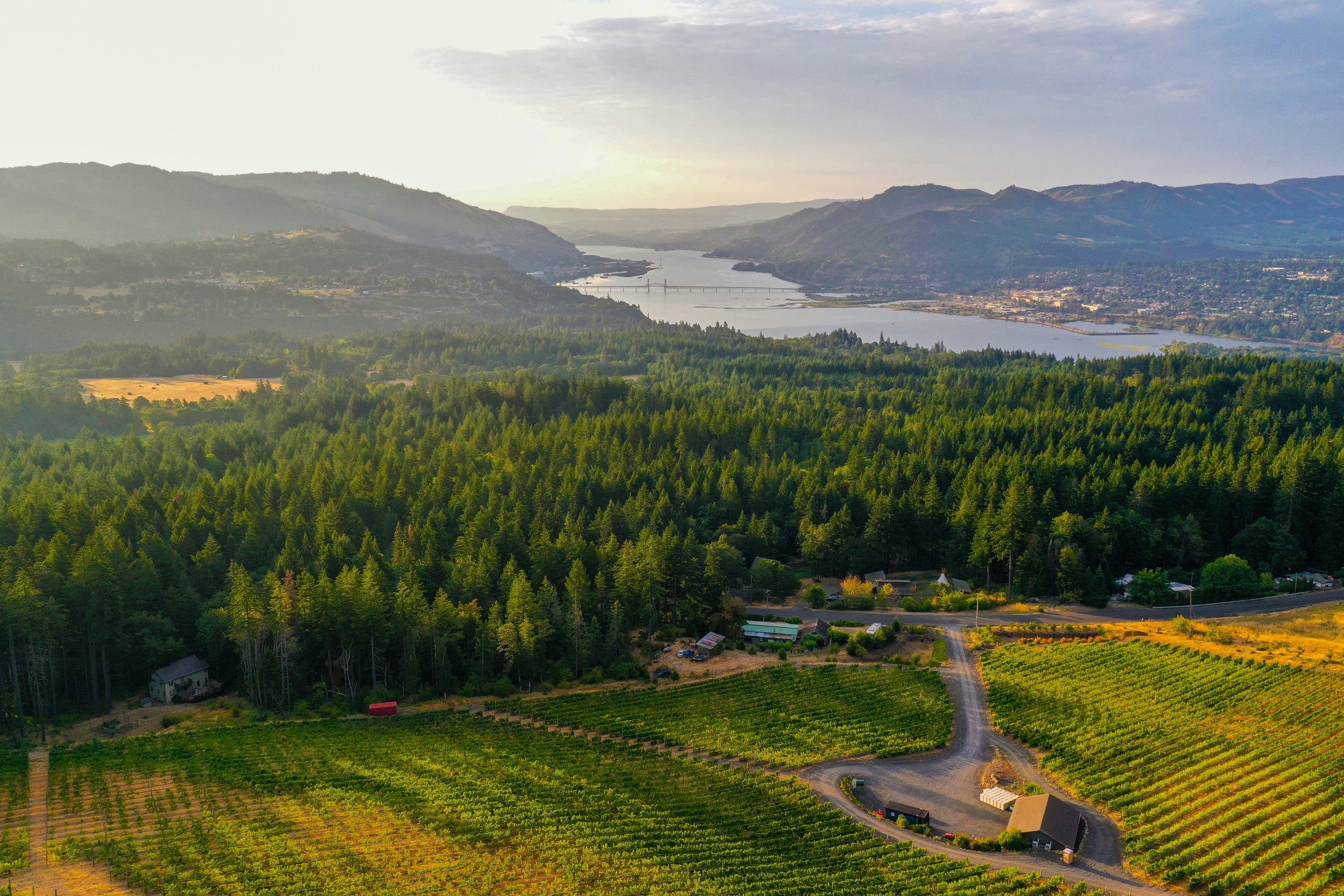 DJI_0047_Edited.jpg