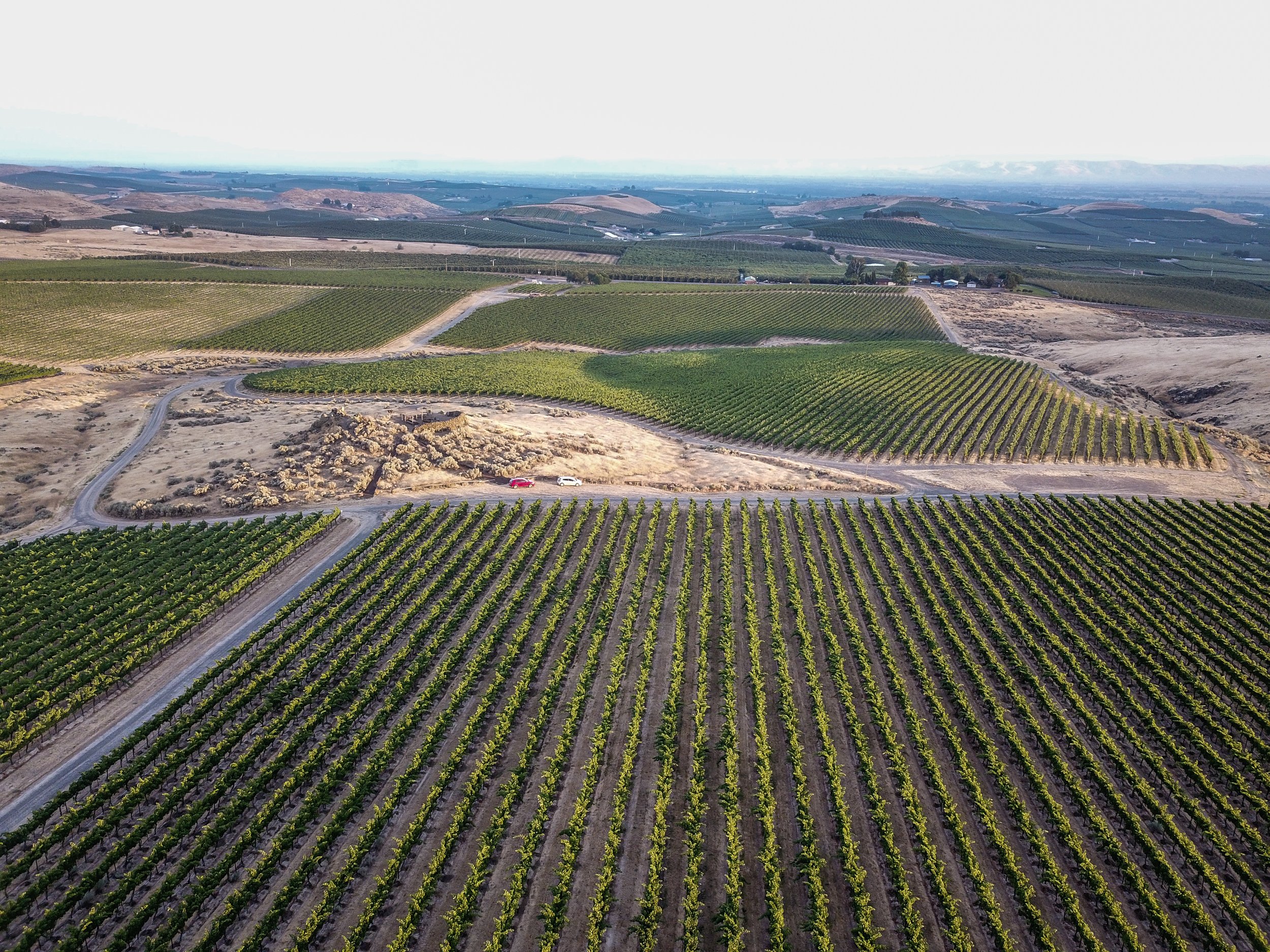 DJI_0005.jpg