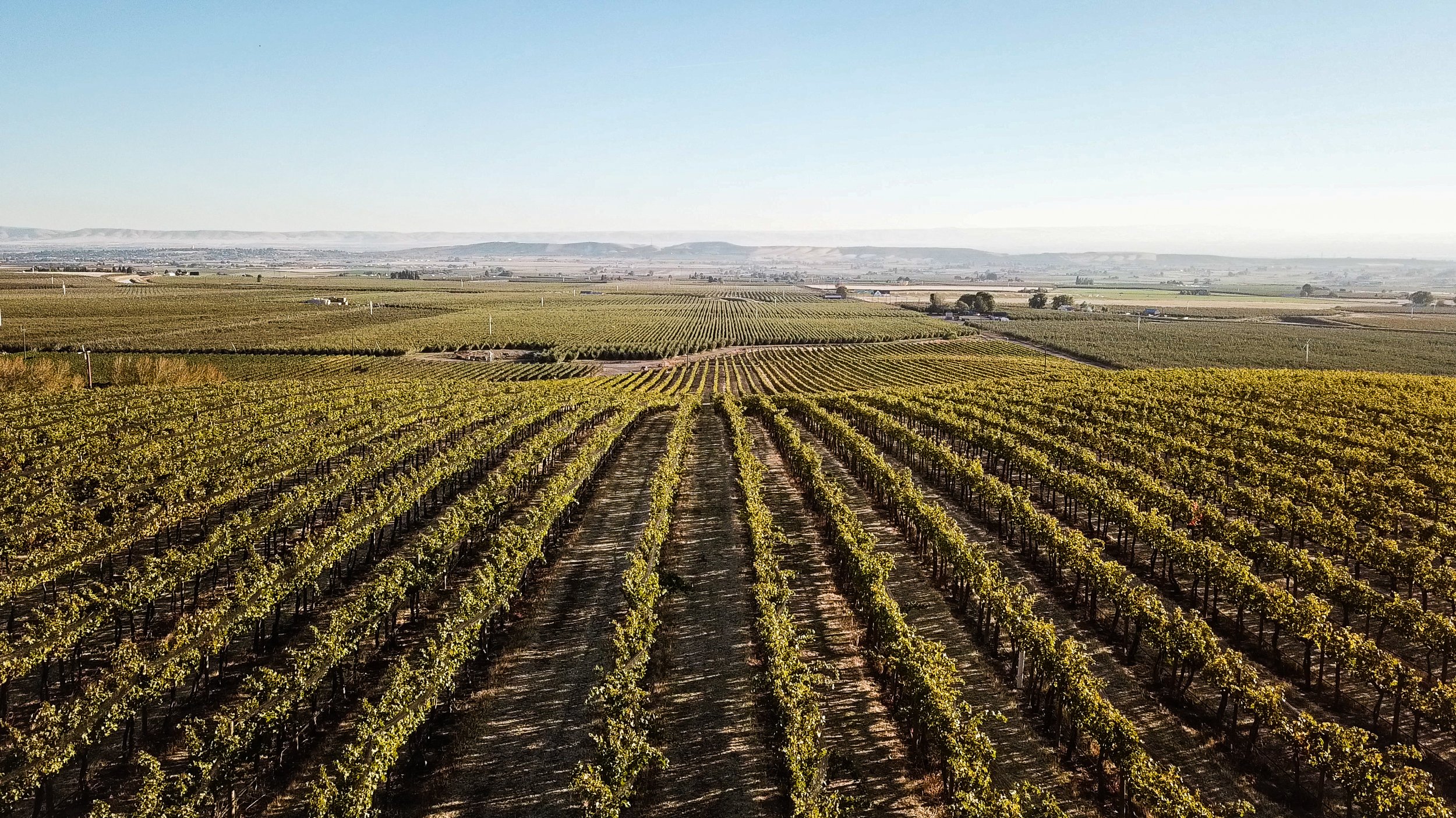 DJI_0196.00_00_00_00.Still001-2.jpg