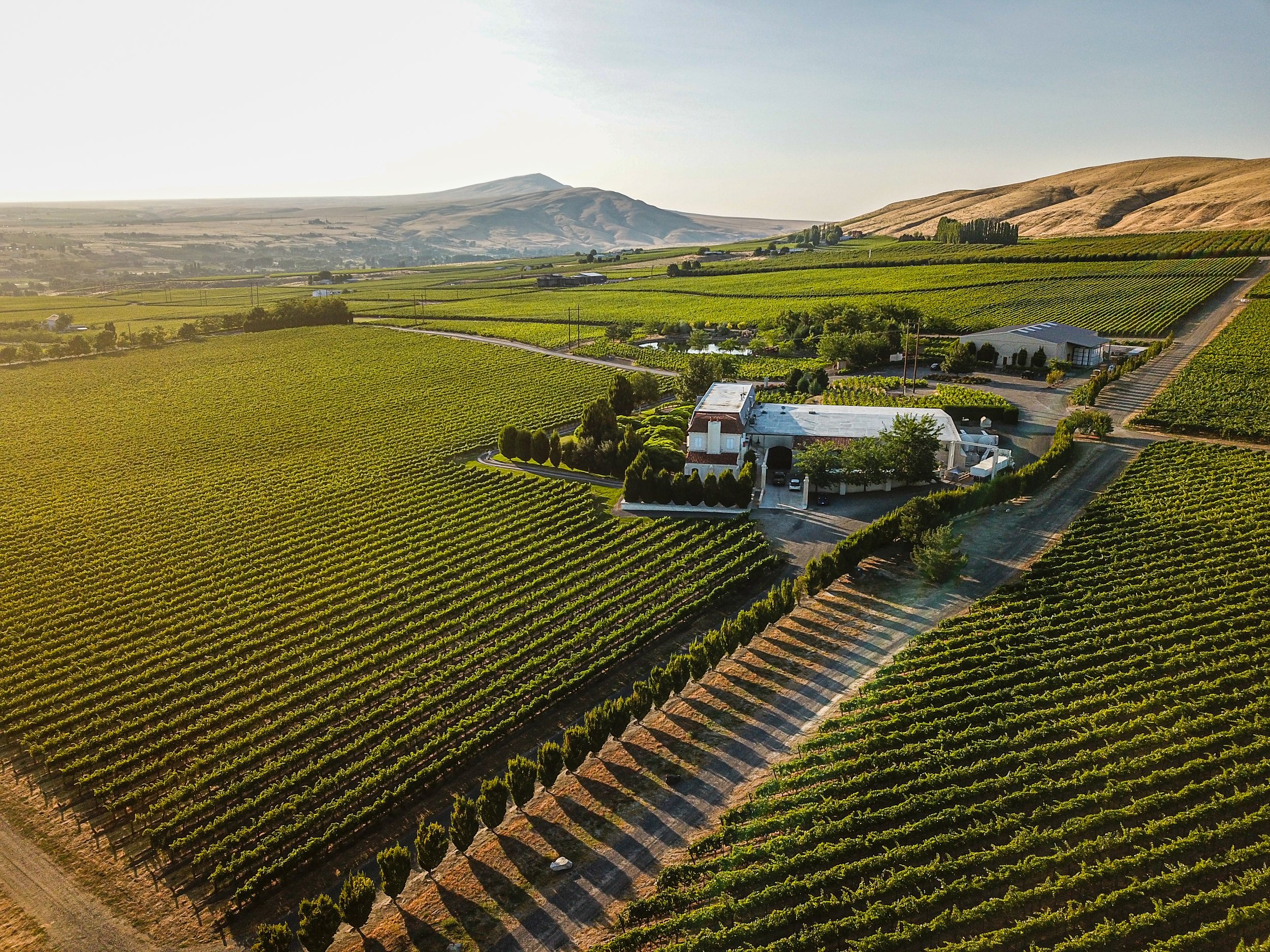 DJI_0101-2.jpg