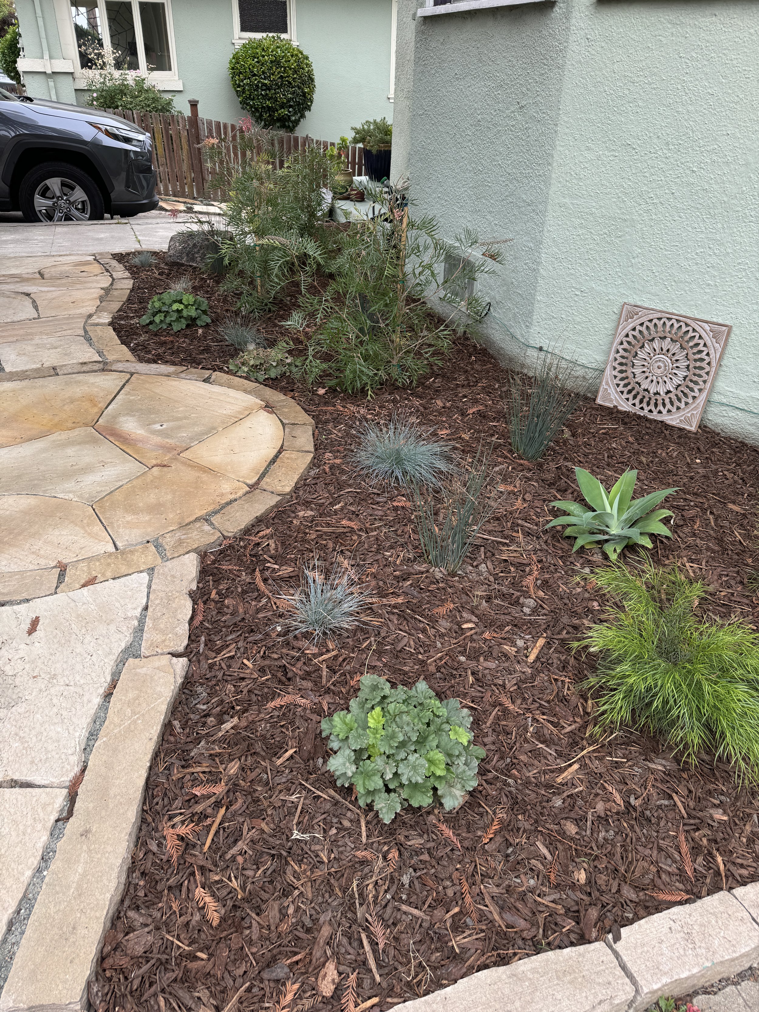 Planting next to front of house