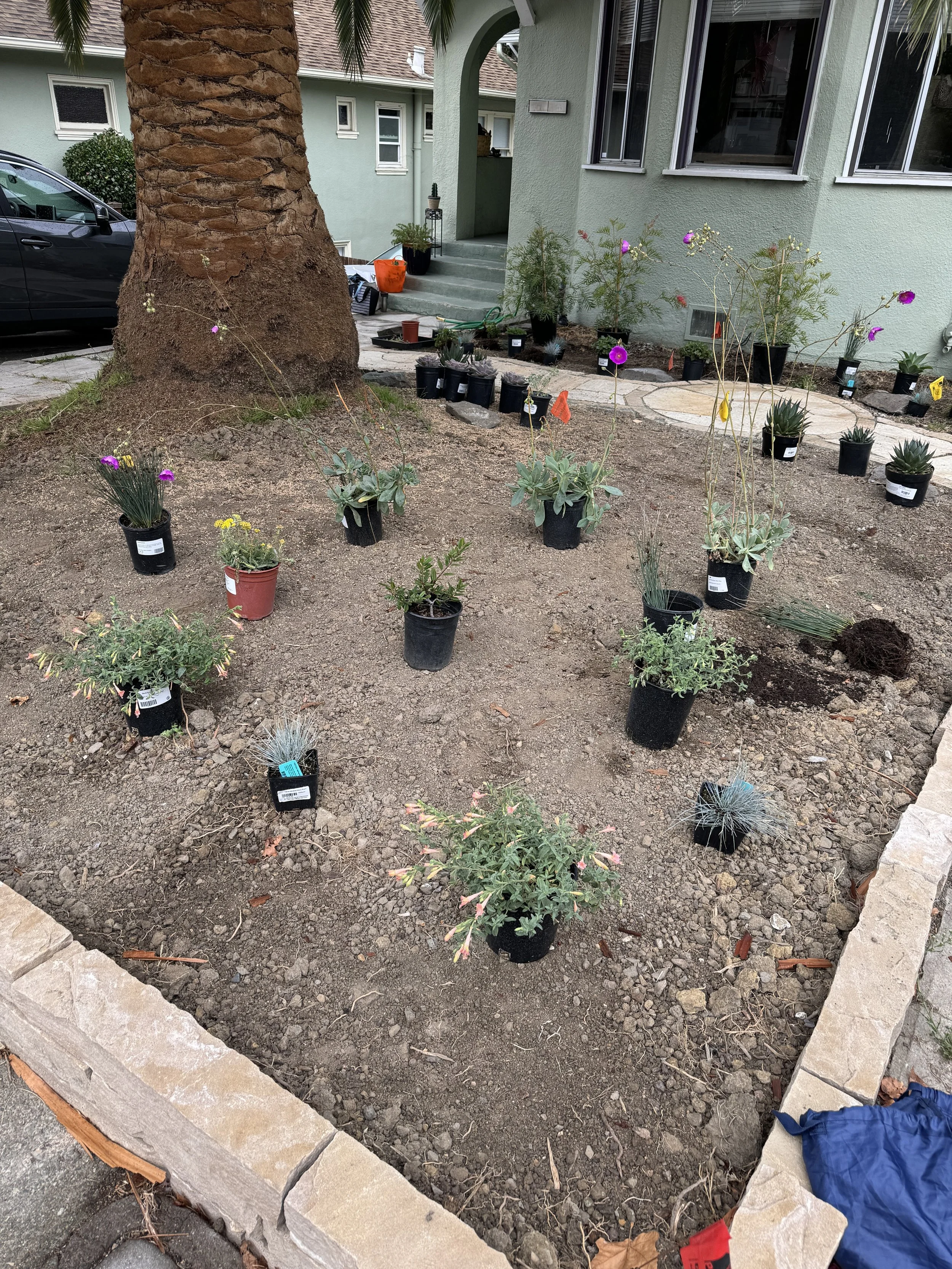 Laying out the plant design