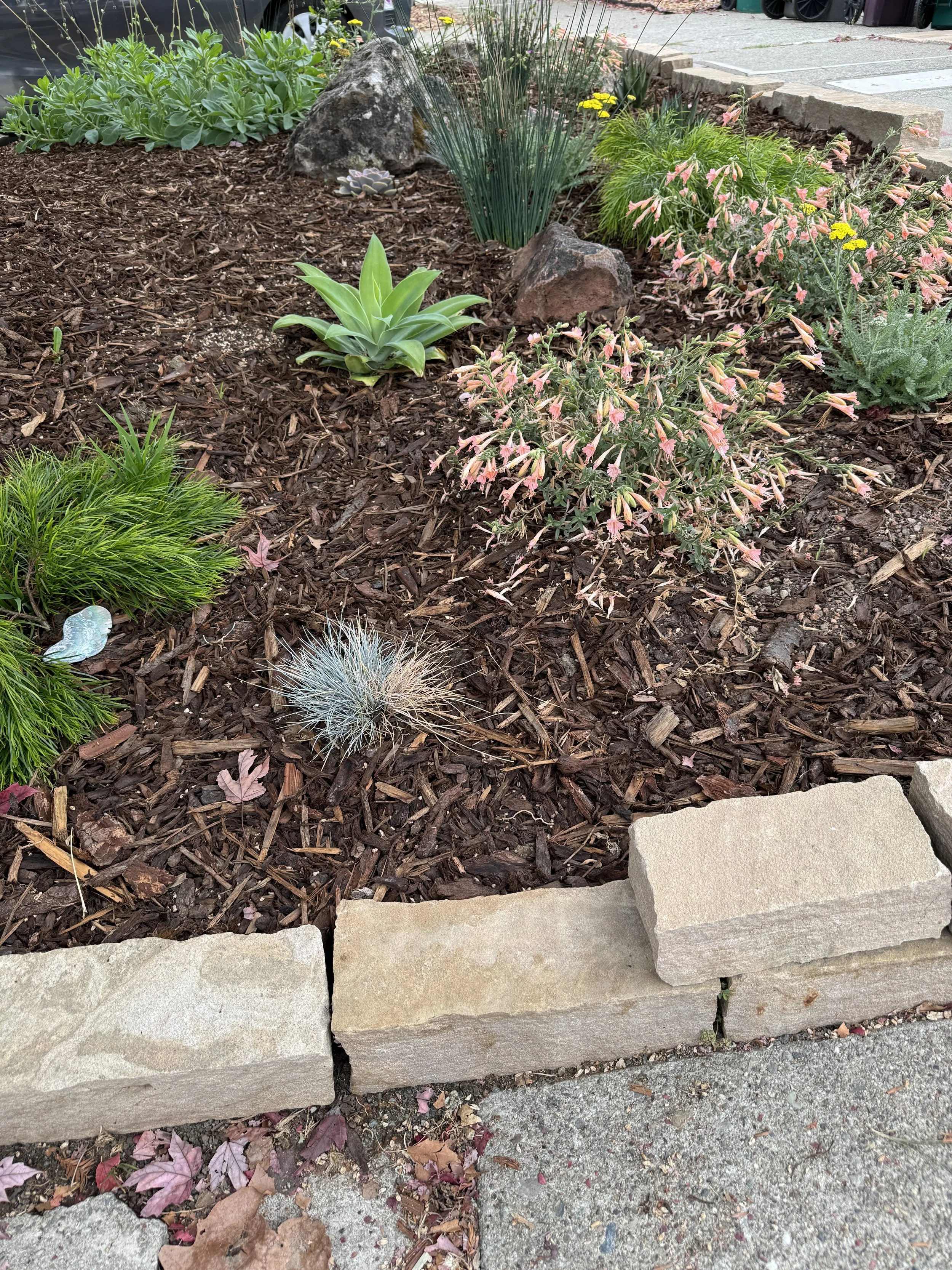 Dry stone stack wall by Oakland Stone Design allowed well draining soil and mulch to be added without spilling onto public sidewalk.
October 2024