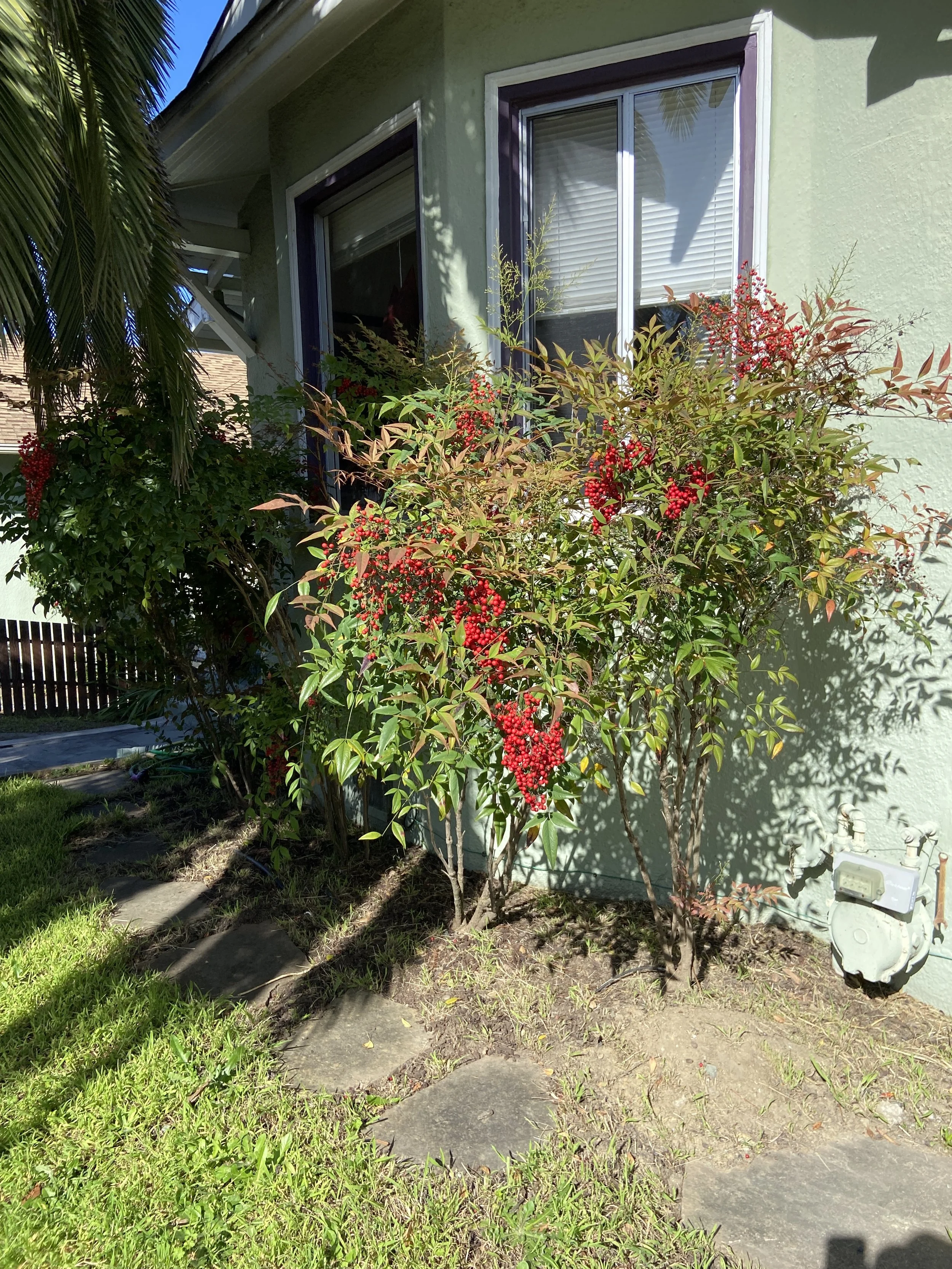 Front of house before