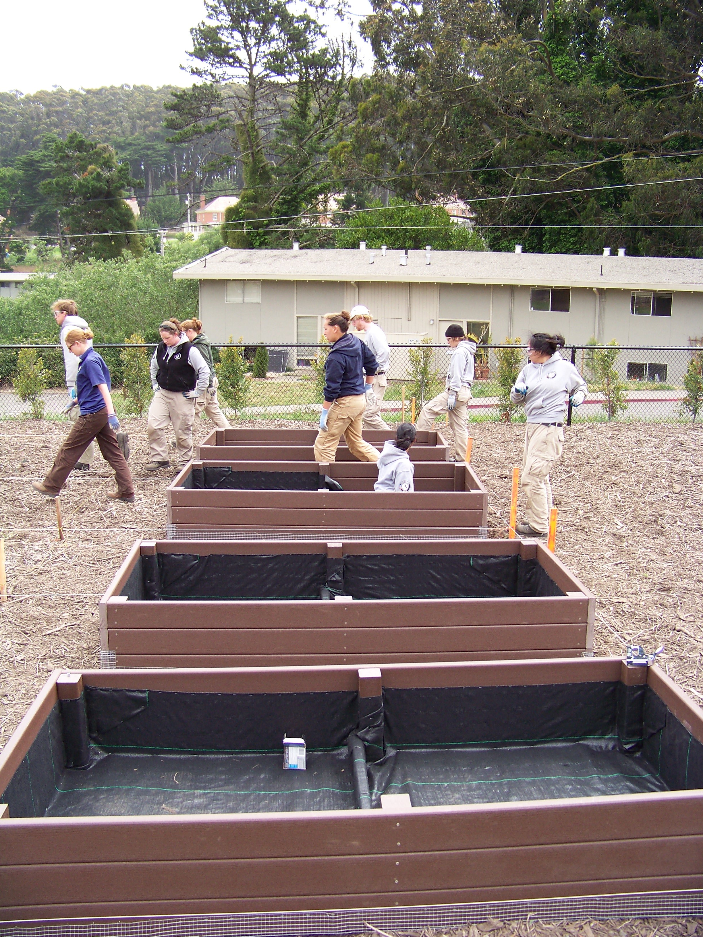 beds lined with landscape fabric