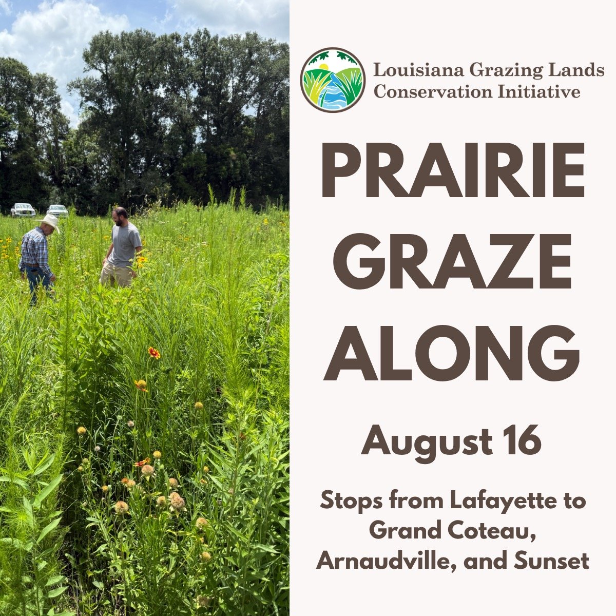 Prairie Graze Along