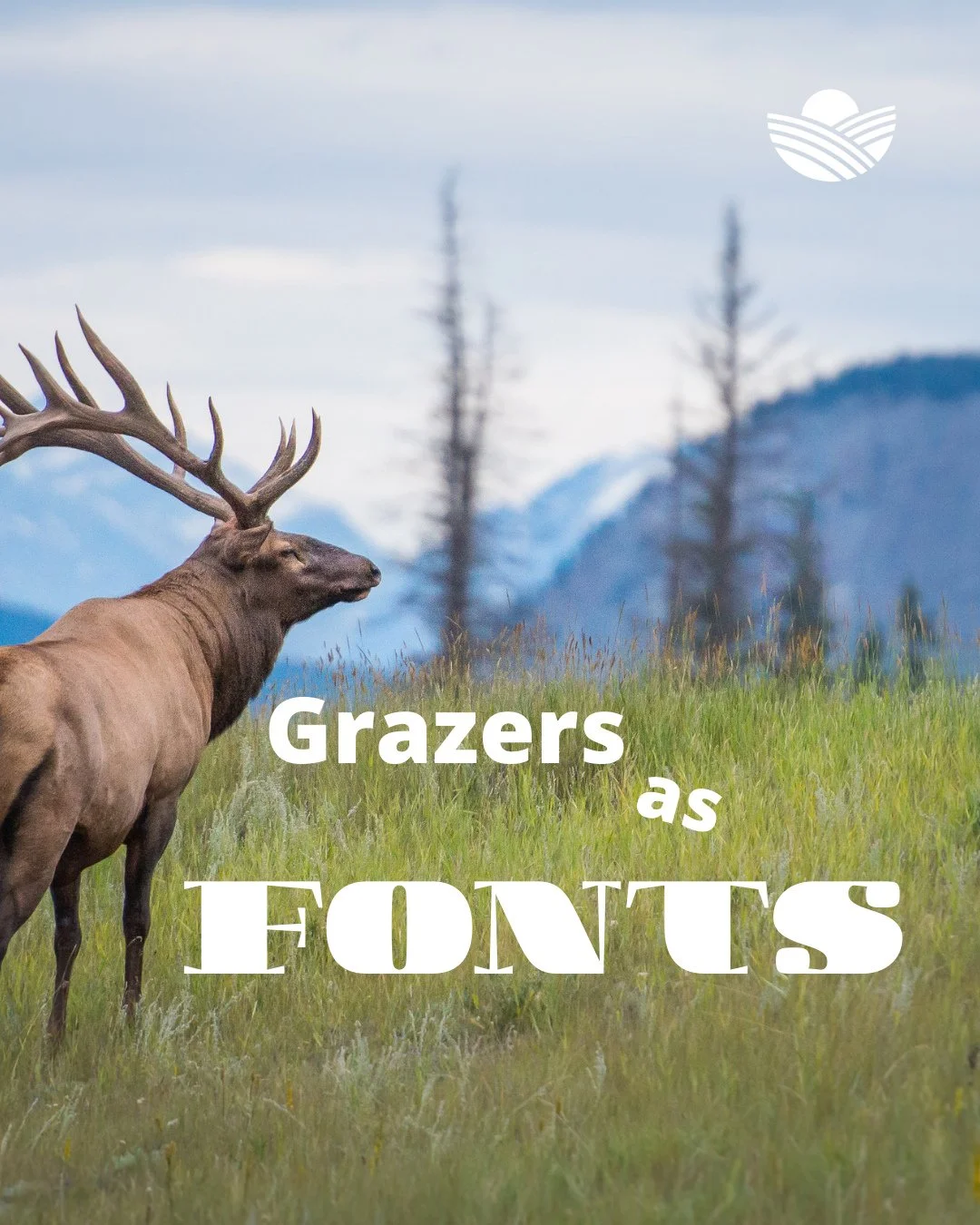 Where Comic Sans spreads like a noxious weed and Times New Roman grazes with the goats.⁠..