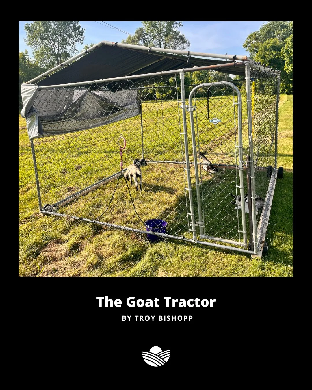 &ldquo;Small ruminants are often the starter animals for many families getting into agriculture.&rdquo; &ndash; Troy Bishopp⁠
⁠
From chicken tractors to goat-powered land management, our Northeastern Region Resource Manager, Troy Bishopp, explores ho