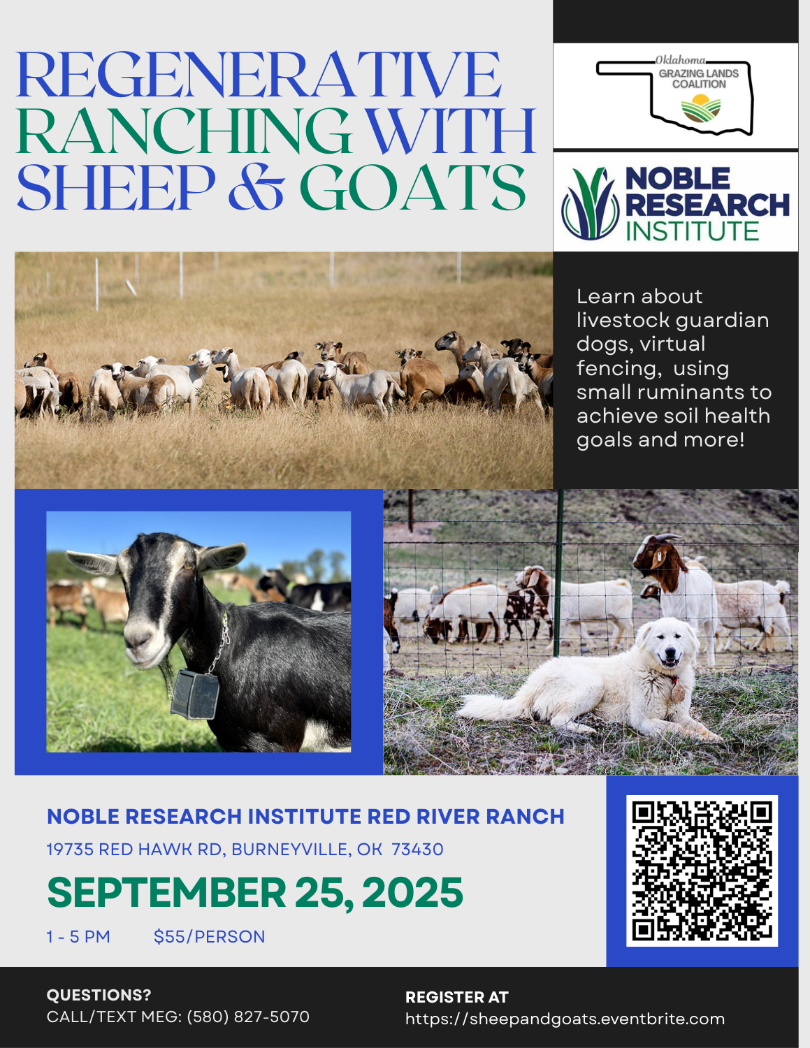 Regenerative Ranching with Sheep & Goats