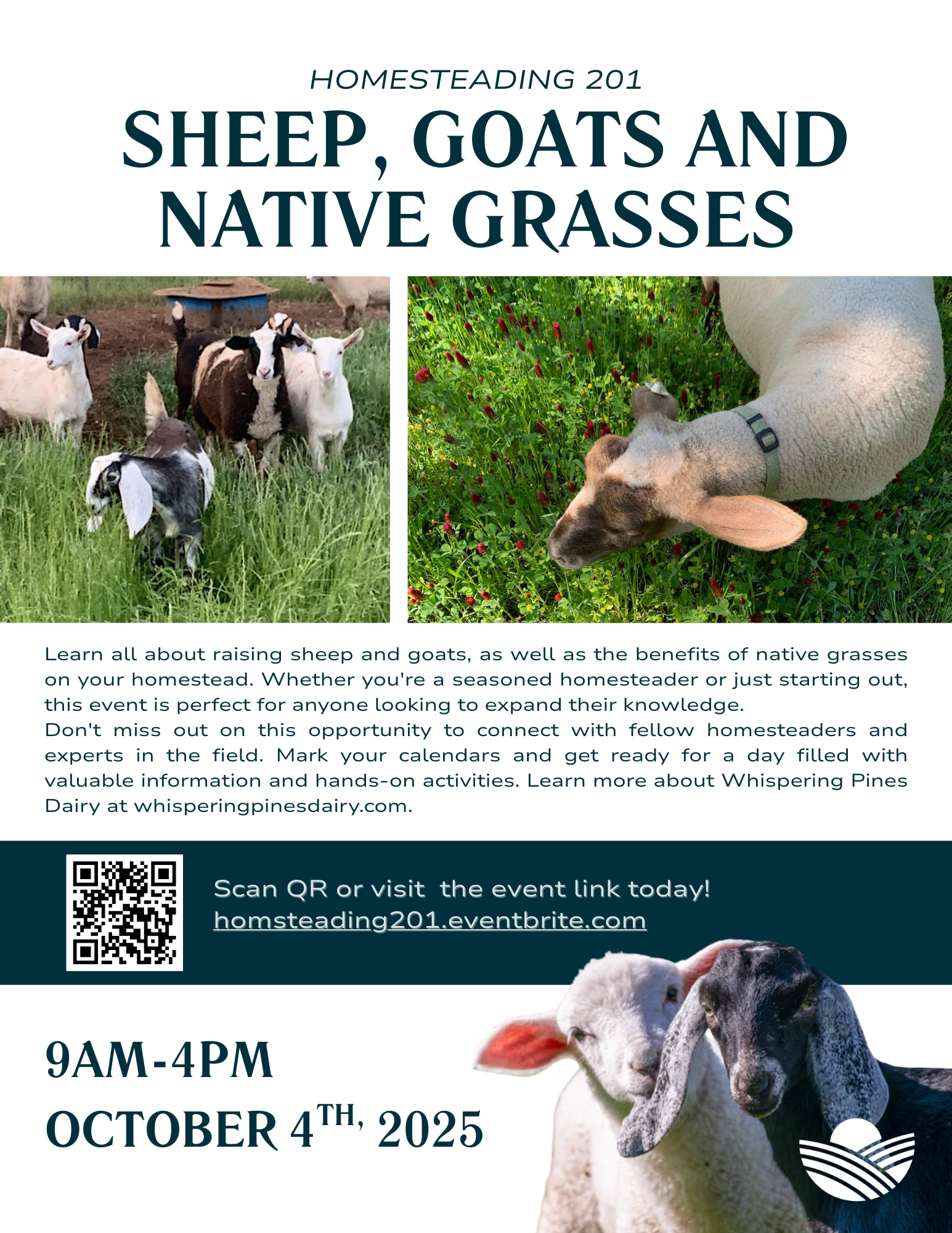 Homesteading 201- Sheep, Goats, and Native Grasses