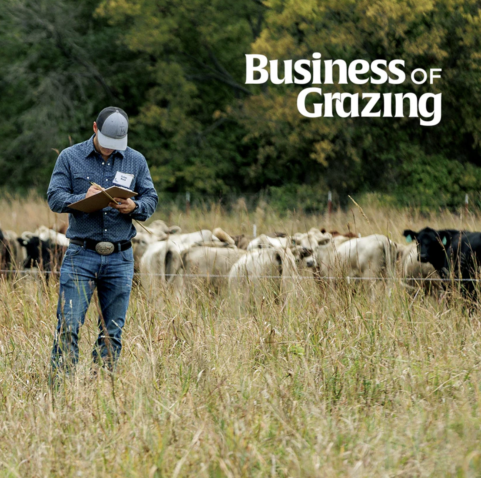 Business of Grazing