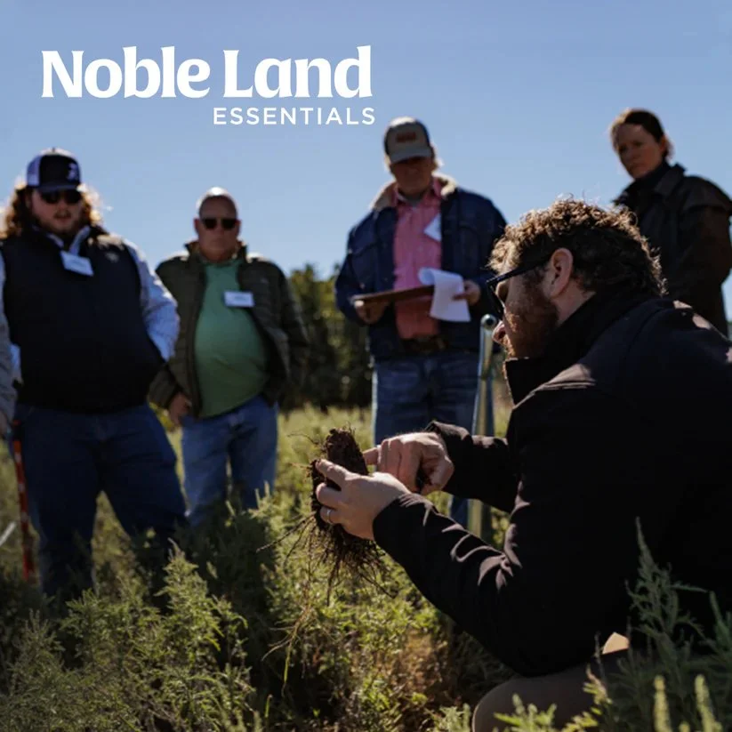 Noble Land Essentials