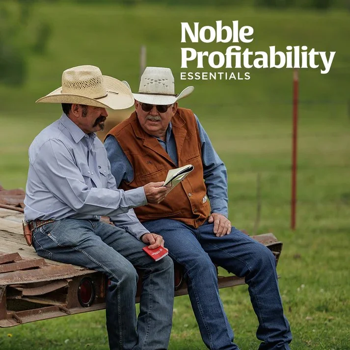 Noble Profitability Essentials