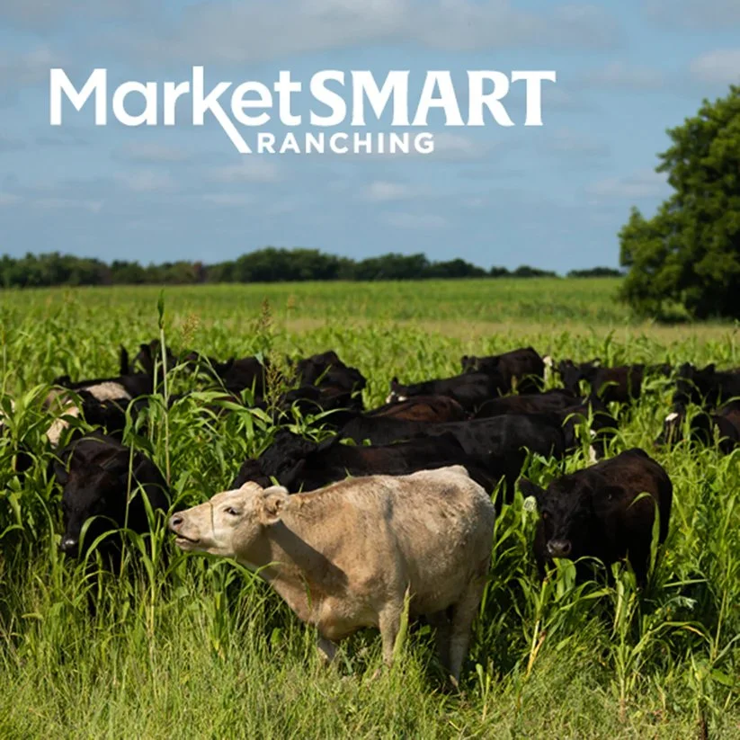 MarketSMART Ranching