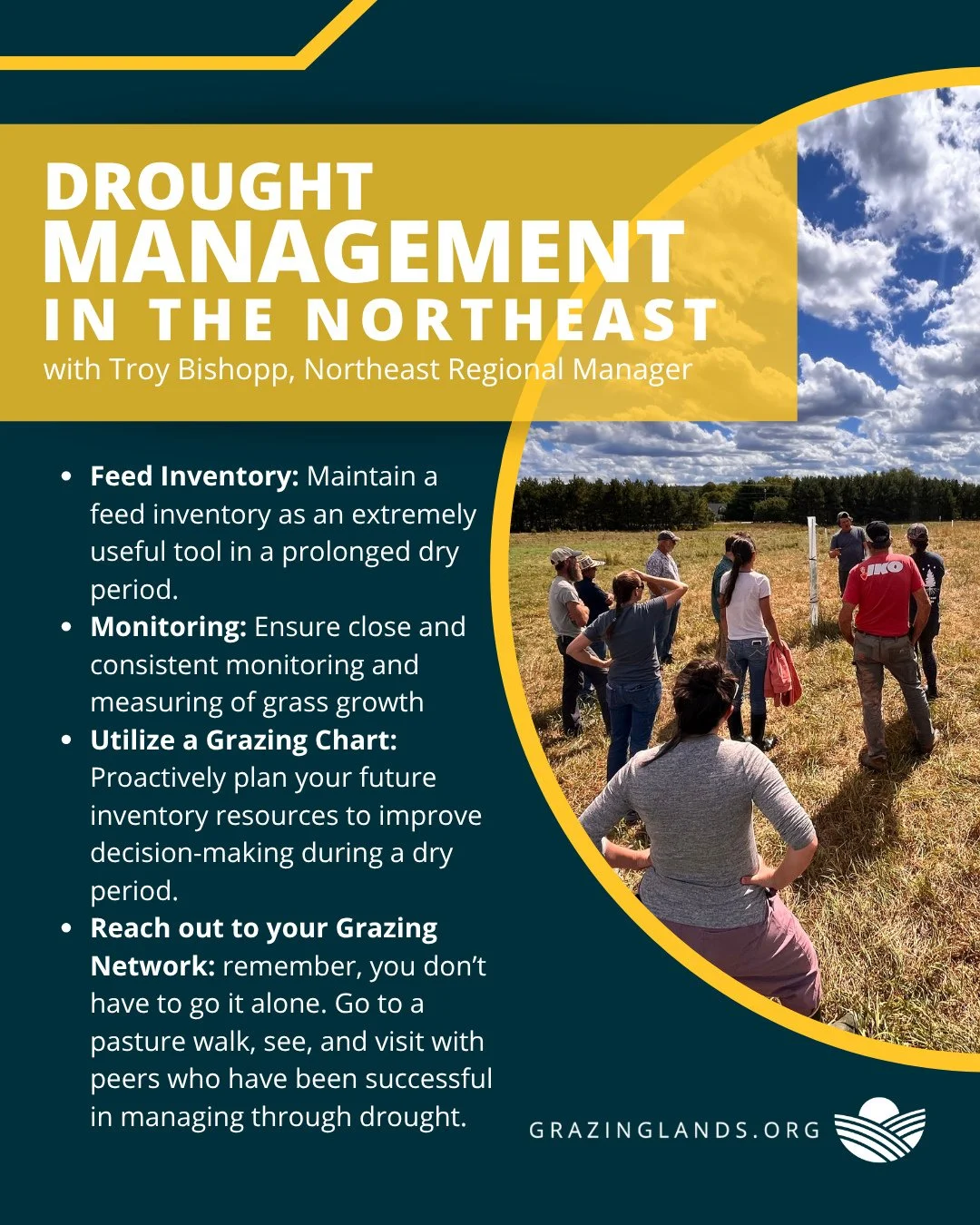 Effective drought management in the Northeast relies on staying connected with your grazing network. By collaborating with fellow farmers and sharing insights on resources and pasture management, we can better navigate challenges and ensure the healt