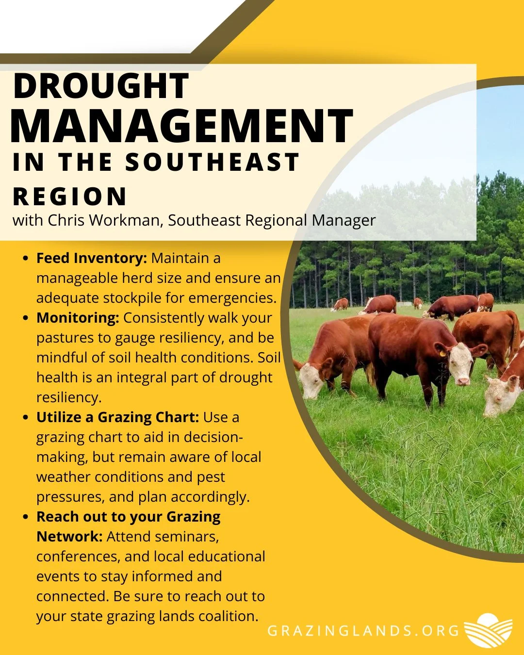 Effective drought management in the Southeast requires vigilant awareness of weather changes and robust pest management. By staying informed and adaptable, we can enhance our resilience, protect crops, and ensure sustainable water use in a region fac