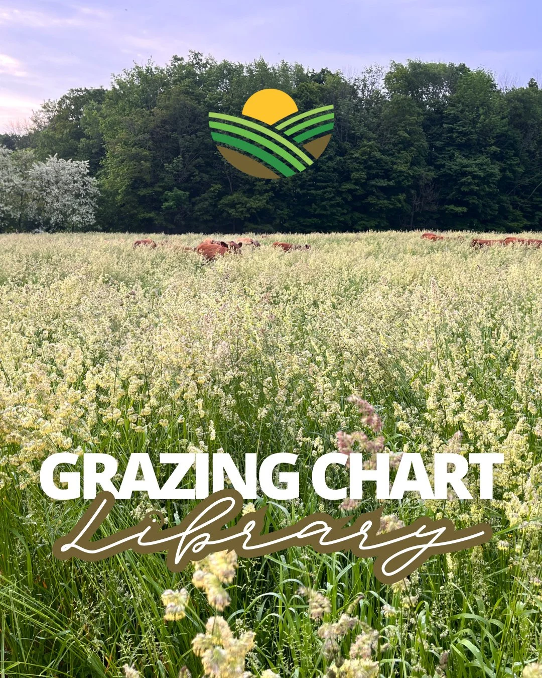 Looking for practical grazing planning tools? We&rsquo;ve compiled a powerful set of grazing resources, digital and printable, to support producers, land managers, and conservation professionals in making informed decisions⁠.⁠
⁠
- 10 &amp; 12-Month G